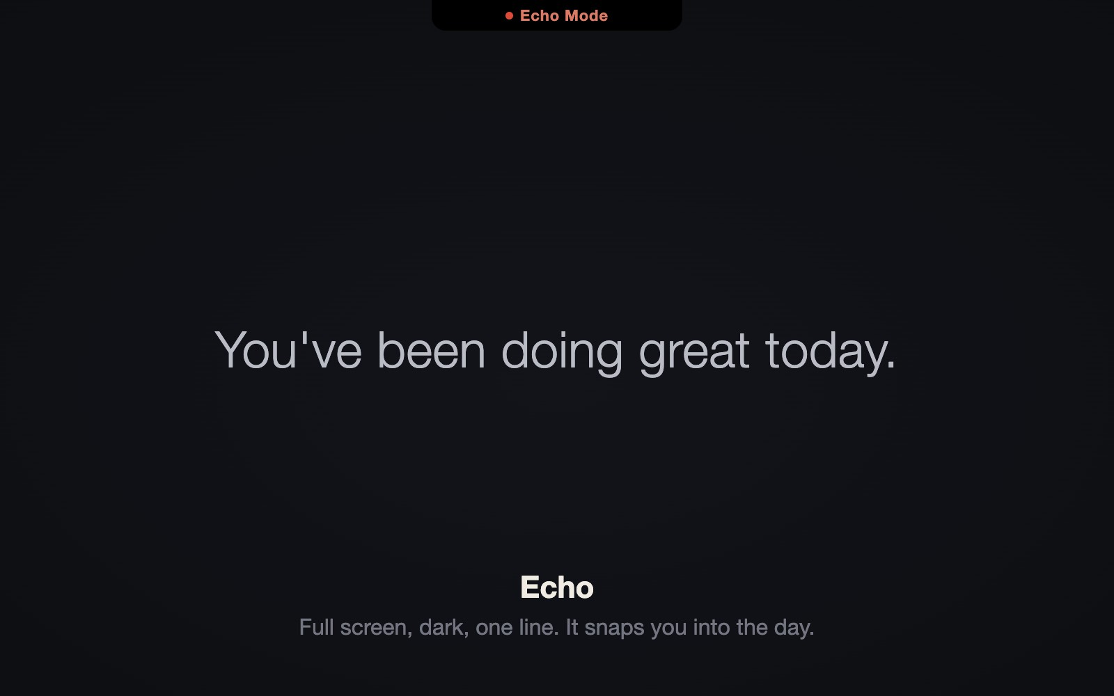 Echo mode: a full-screen dark overlay with a single line of greeting